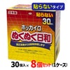 ホッカイロ ぬくぬく日和　貼らないタイプ　レギュラー　30個入×8個セット （1ケース 合計240個) 【興和】1