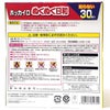 ホッカイロ ぬくぬく日和　貼らないタイプ　レギュラー　30個入×8個セット （1ケース 合計240個) 【興和】2