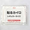ホッカイロ ぬくぬく日和　貼るタイプ　レギュラー　30個入×8個セット （1ケース 合計240個)  【興和】3