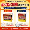 ホッカイロ ぬくぬく日和　貼るタイプ　レギュラー　30個入×8個セット （1ケース 合計240個)  【興和】4