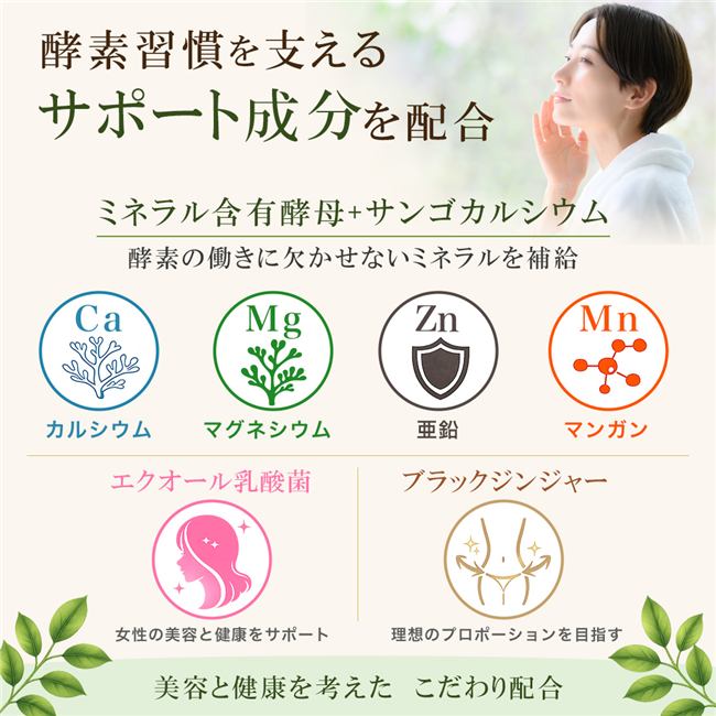 エクオール乳酸菌、ブラックジンジャー、カルシウム、マグネシウム、亜鉛、マンガンを配合した美容と健康を考えた酵素サプリメントです。