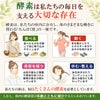 酵素は毎日の食生活や美容、健康を支える大切な成分です。ココカラダ 美酵素は、毎日の美容と健康習慣をサポートします。