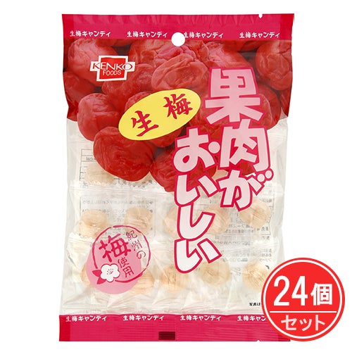 果肉がおいしい生梅　100g×24個セット　【健康フーズ】1