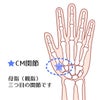 竹虎　ソフラウルファーCM　1枚8