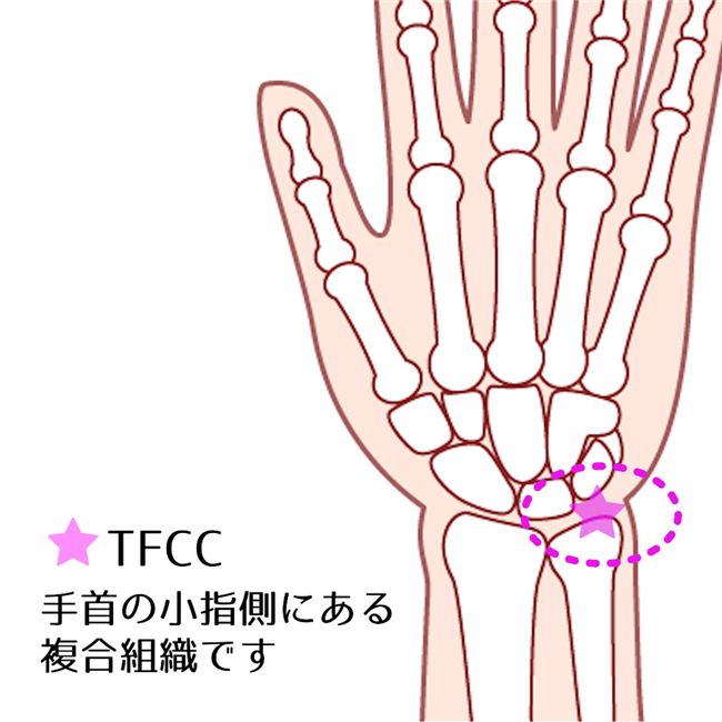 竹虎　ソフラウルファーTFCC　2枚セット8