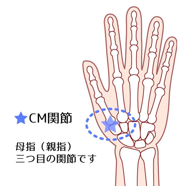 竹虎　ソフラウルファーCM　2枚セット8